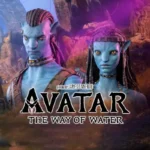 Avatar Height Comparison