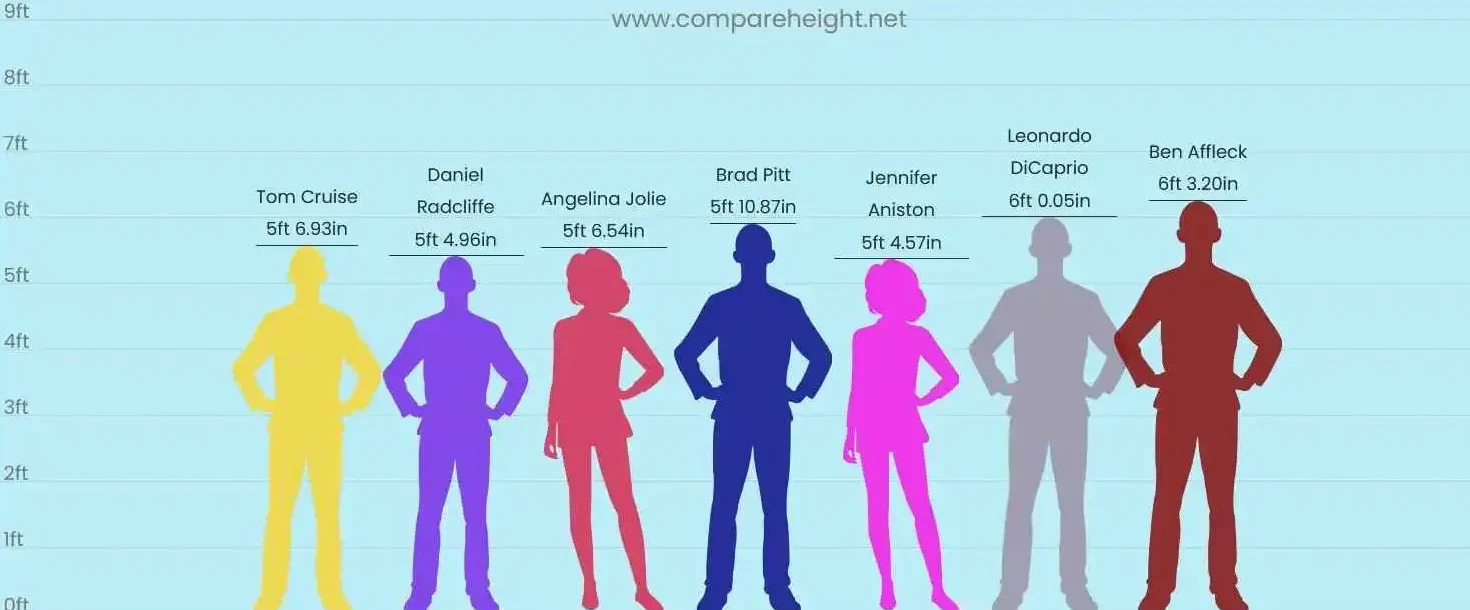 brad pitts height chart