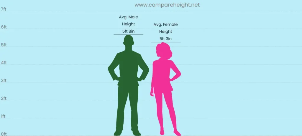 Average Human Height Worldwide