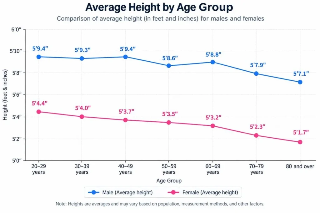 Comparison of Average Height for Men & Women in the US