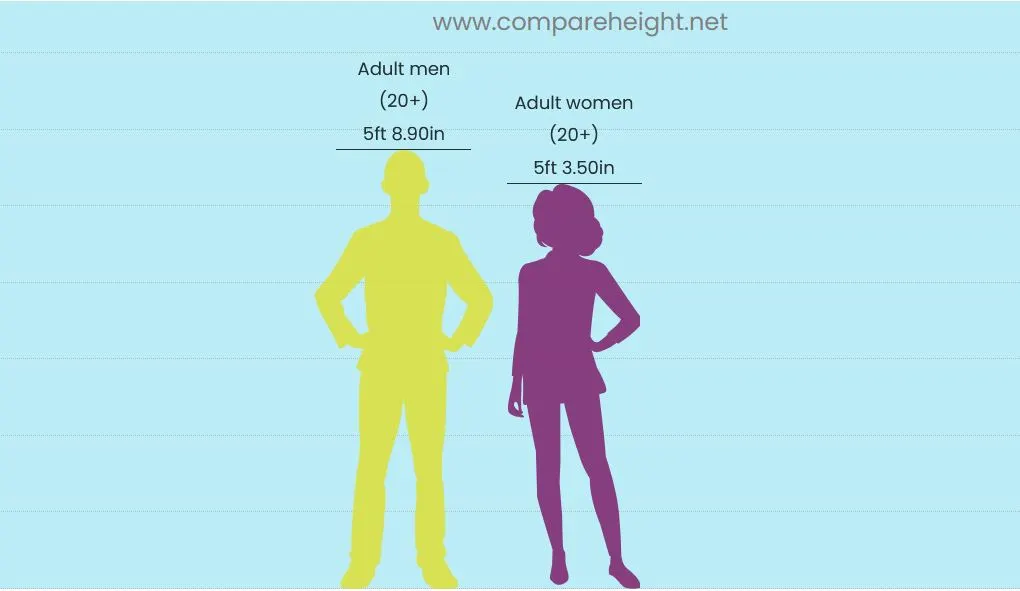What Is the Average Height in the US